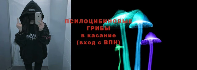 дмт Абаза