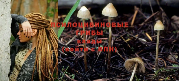 дмт Абаза