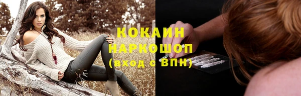 дмт Абаза